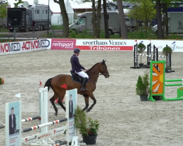 Reitturnier Westergellersen 2021