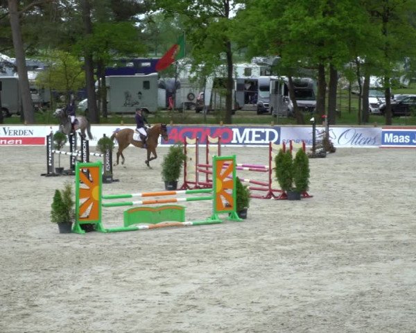 Reitturnier Westergellersen 2021