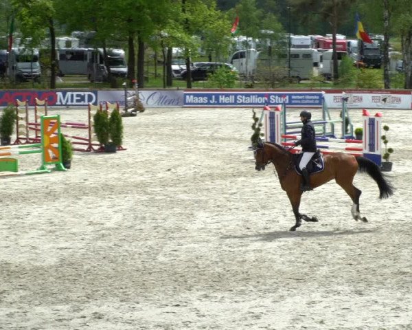 Reitturnier Westergellersen 2021