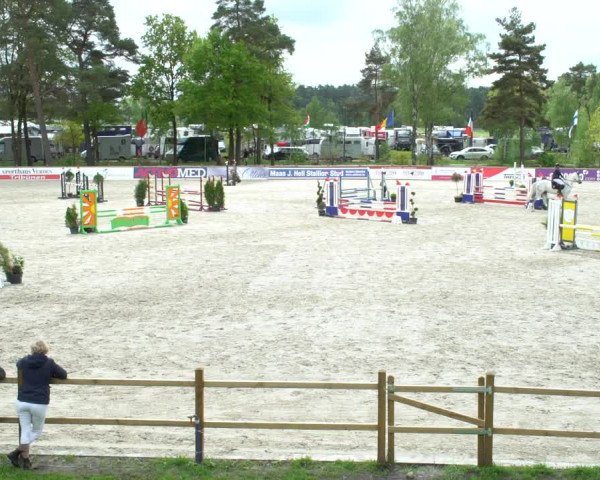 Reitturnier Westergellersen 2021