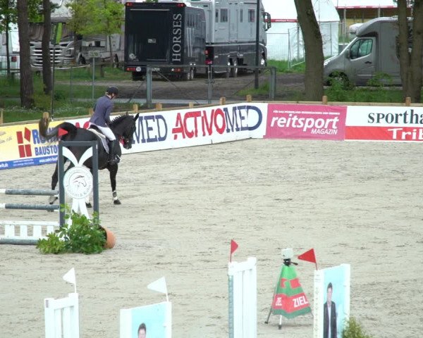 Reitturnier Westergellersen 2021