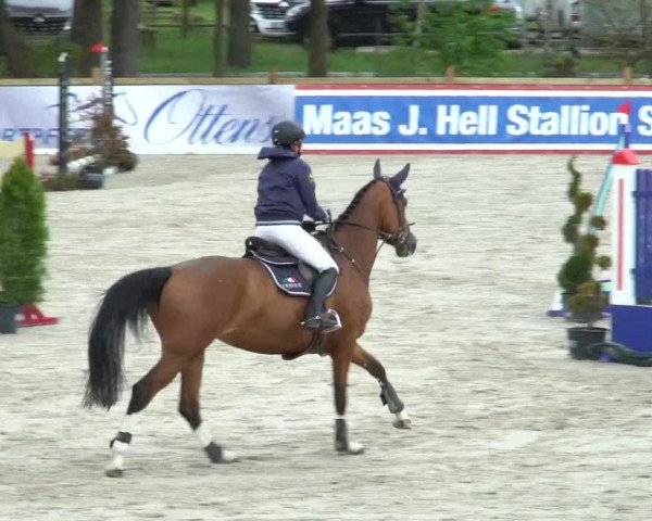 Reitturnier Westergellersen 2021