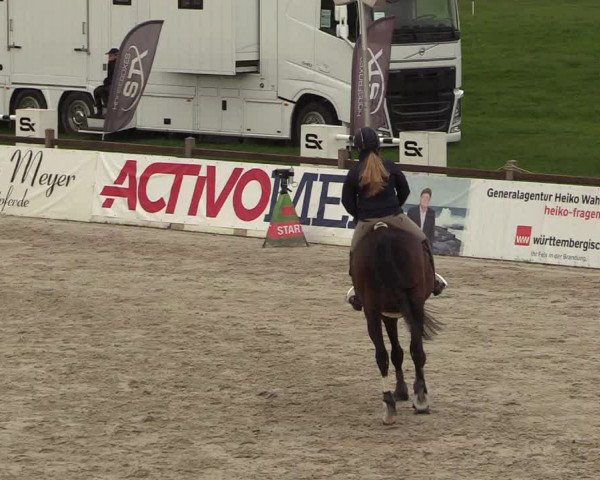 Reitturnier Westergellersen 2021