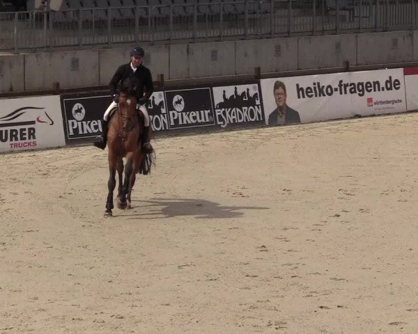 Reitturnier Westergellersen 2021