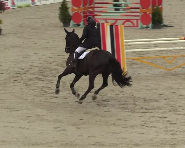Reitturnier Westergellersen 2021