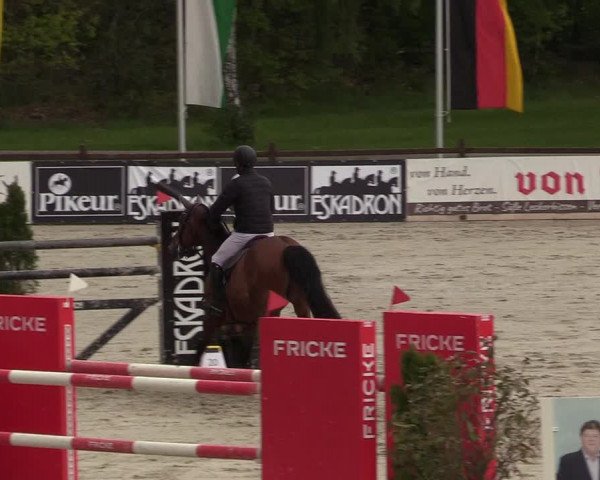 Reitturnier Westergellersen 2021
