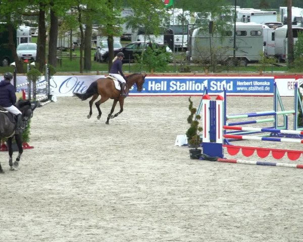 Reitturnier Westergellersen 2021