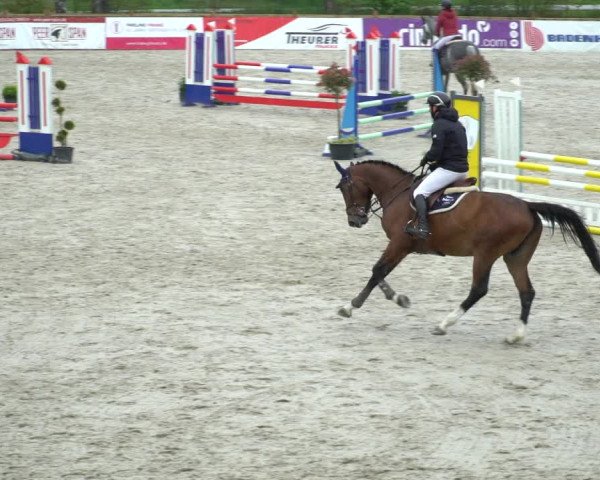 Reitturnier Westergellersen 2021