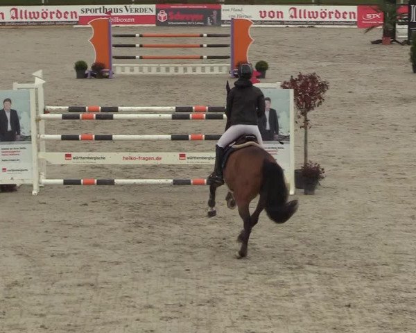 Reitturnier Westergellersen 2021