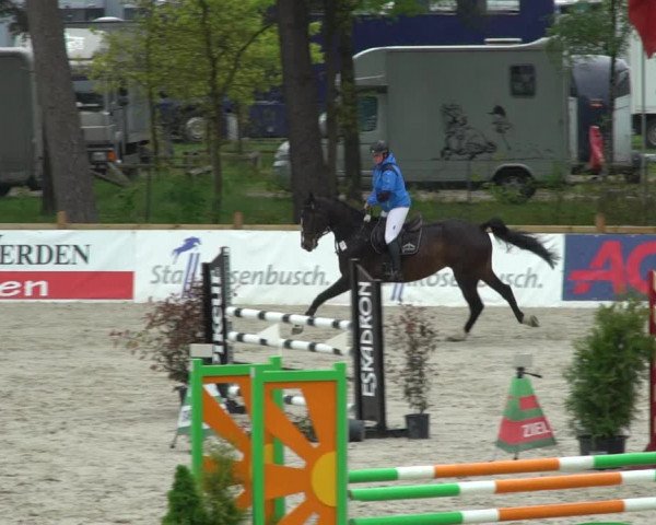 Reitturnier Westergellersen 2021