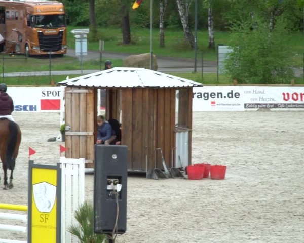 Reitturnier Westergellersen 2021