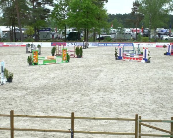 Reitturnier Westergellersen 2021