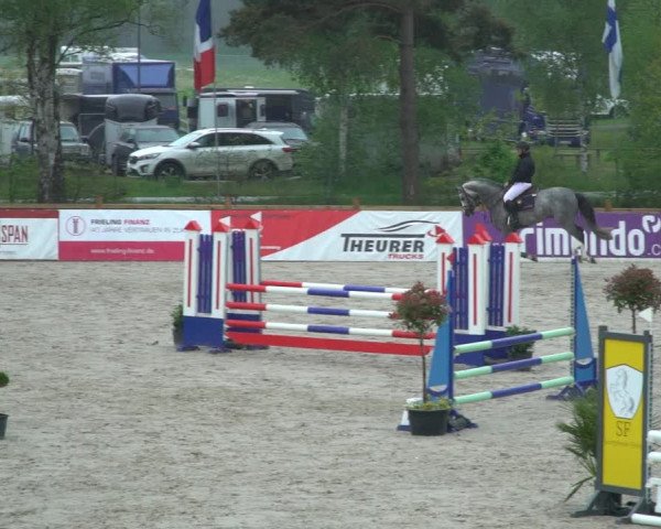 Reitturnier Westergellersen 2021
