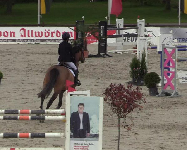 Reitturnier Westergellersen 2021