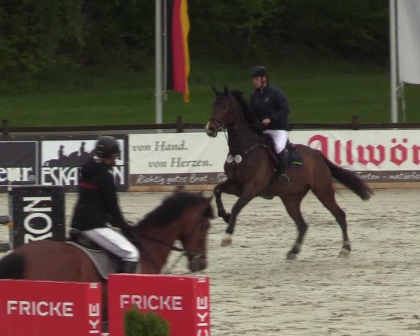 Reitturnier Westergellersen 2021