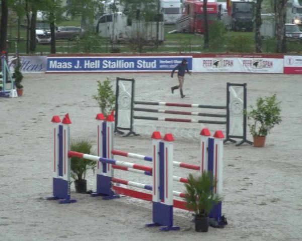Reitturnier Westergellersen 2021
