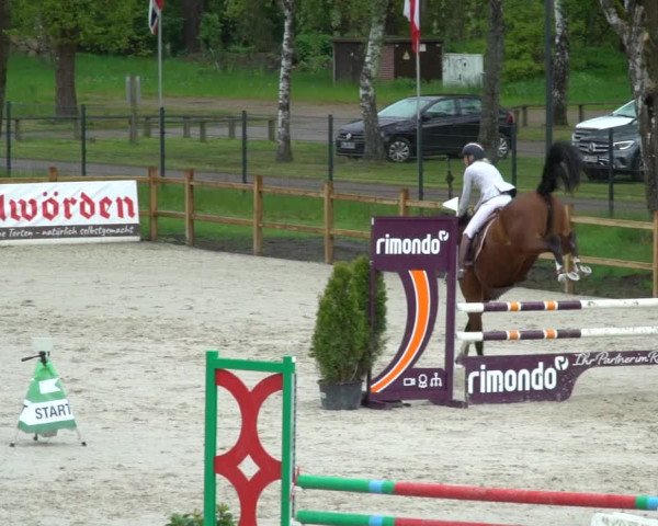 Reitturnier Westergellersen 2021