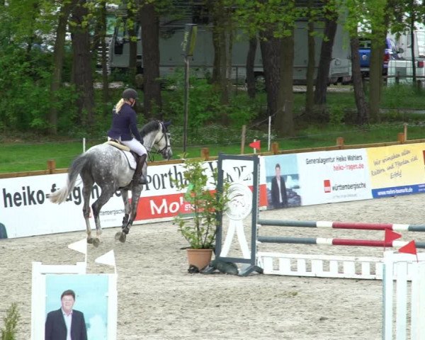 Reitturnier Westergellersen 2021