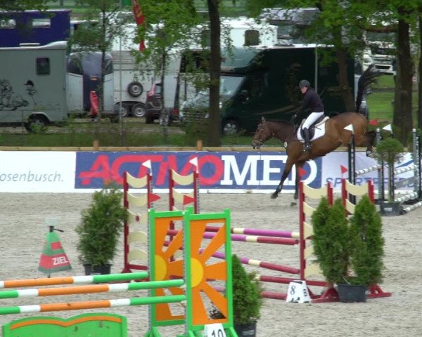 Reitturnier Westergellersen 2021