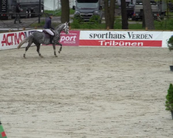 Reitturnier Westergellersen 2021