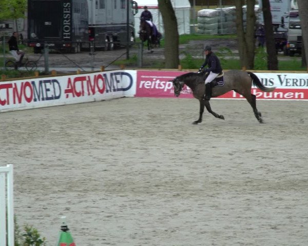 Reitturnier Westergellersen 2021