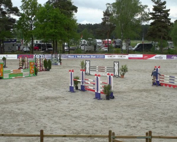 Reitturnier Westergellersen 2021