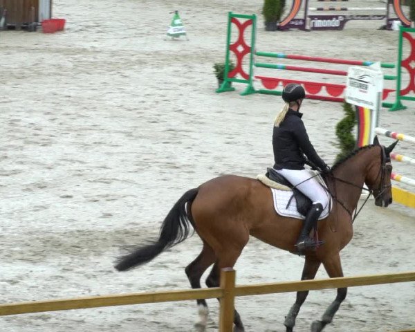 Reitturnier Westergellersen 2021