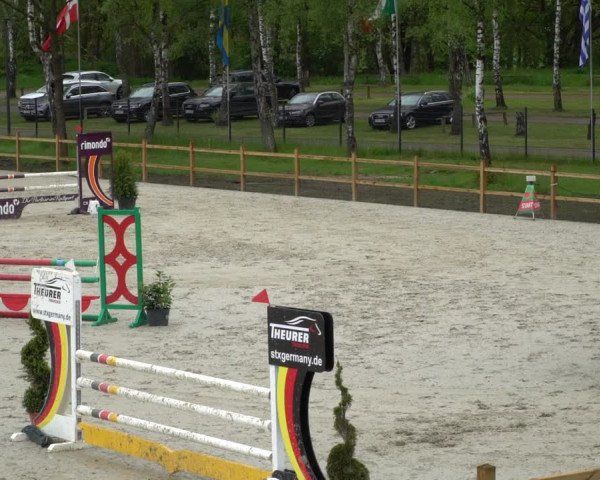 Reitturnier Westergellersen 2021