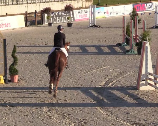 Reitturnier Westergellersen 2021