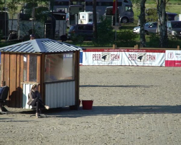 Reitturnier Westergellersen 2021