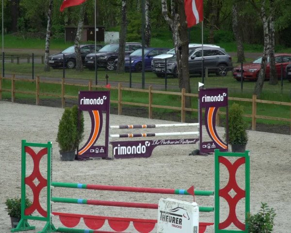 Reitturnier Westergellersen 2021