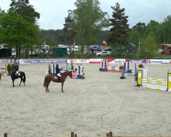 Reitturnier Westergellersen 2021