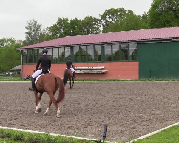 Reitturnier Schwanewede 2021