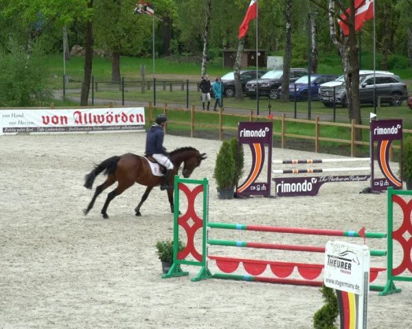 Reitturnier Westergellersen 2021