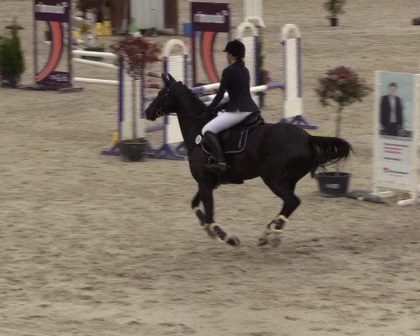 Reitturnier Westergellersen 2021