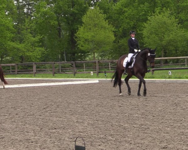 Reitturnier Schwanewede 2021