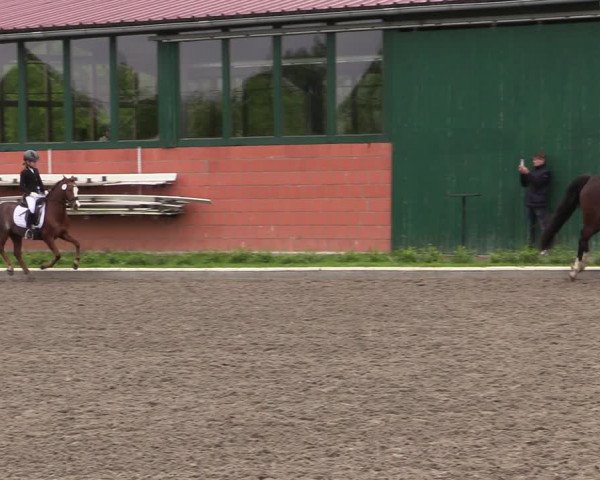 Reitturnier Schwanewede 2021