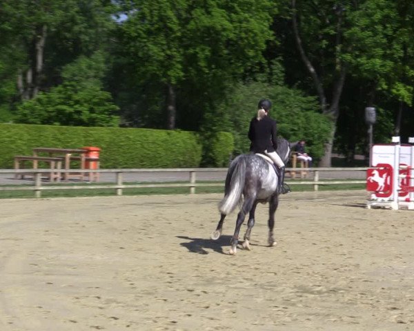 Reitturnier Münster-Handorf 2021