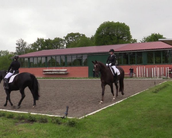 Reitturnier Schwanewede 2021