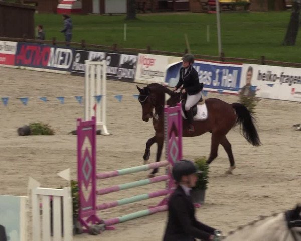 Reitturnier Westergellersen 2021