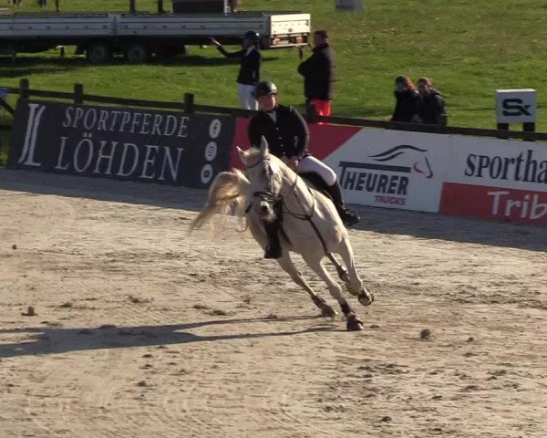Reitturnier Westergellersen 2021