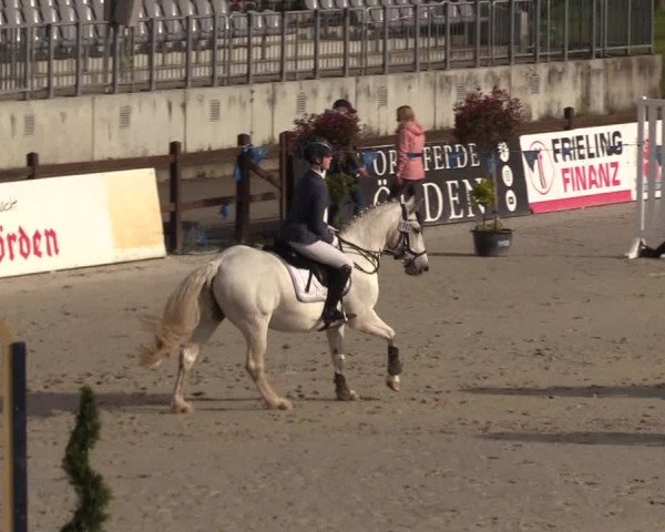 Reitturnier Westergellersen 2021