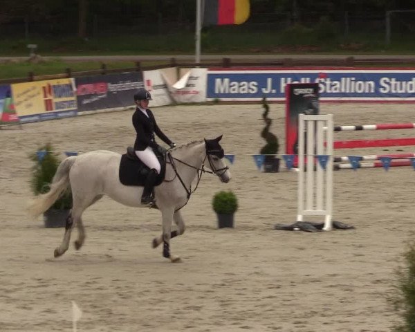 Reitturnier Westergellersen 2021