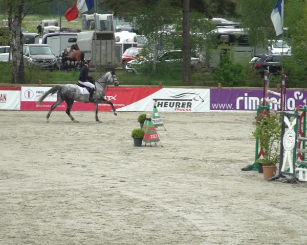 Reitturnier Westergellersen 2021