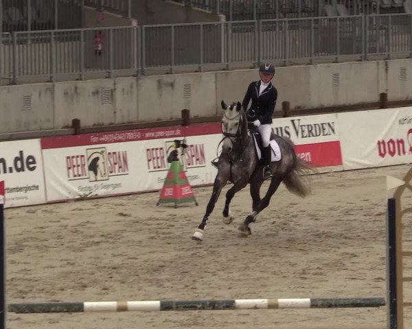 Reitturnier Westergellersen 2021
