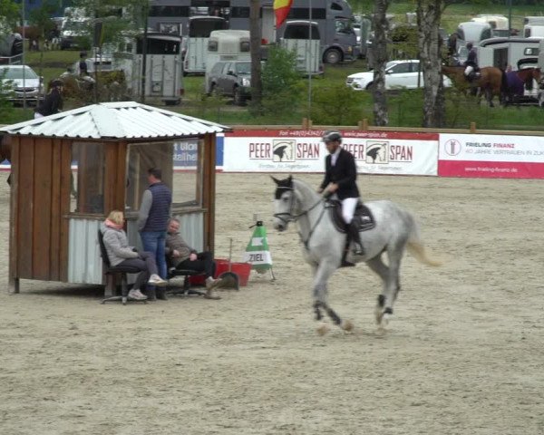 Reitturnier Westergellersen 2021