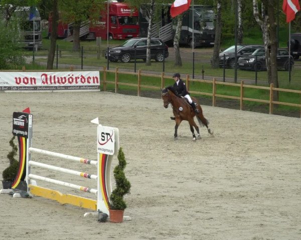 Reitturnier Westergellersen 2021