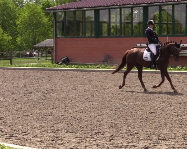 Reitturnier Schwanewede 2021