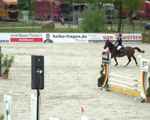 Reitturnier Westergellersen 2021
