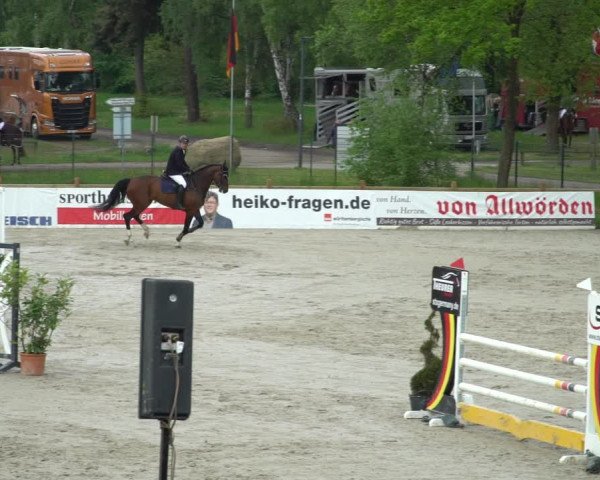 Reitturnier Westergellersen 2021